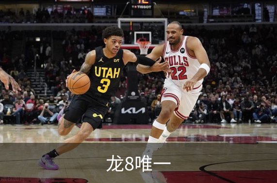 了解龙8唯一